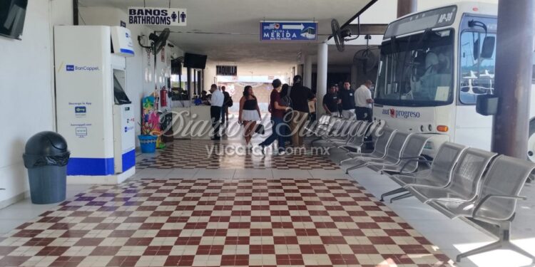 Llegada de cruceros a Progreso causa caos en el transporte público hacia Mérida