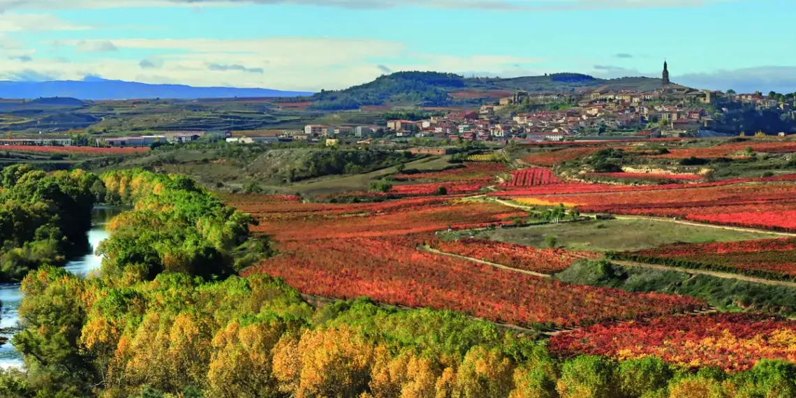 Viaje a La Rioja, la tierra de los pequeños placeres