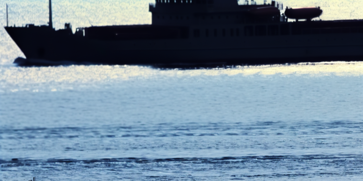 MSC firma el primer pedido de una nueva serie de megabarcos por 10.000 M€