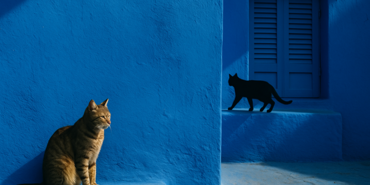 Azul cobalto, el color elegante y en tendencia de 2026