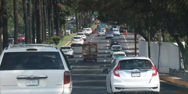 Programa uno por uno