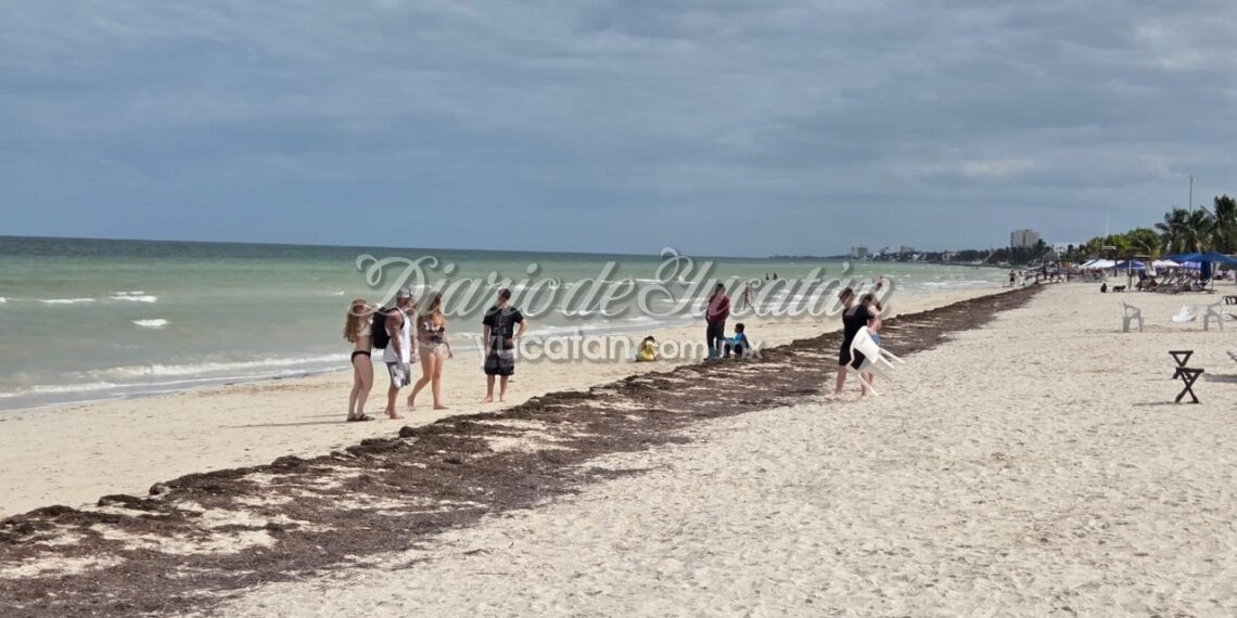 Progreso recibe 4 cruceros y más de 15 mil visitantes en la última semana de febrero