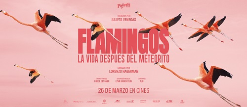 Se estreno a nivel nacional Flamingos: la vida después del meteorito