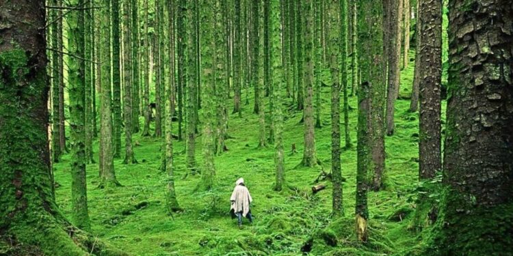 El destino donde puedes disfrutar entre duendes en un Pueblo Mágico de Hidalgo