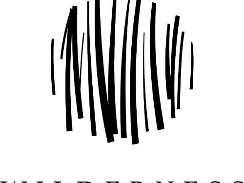 Wilderness refuerza su misión de conservación impulsando soluciones con impacto en África