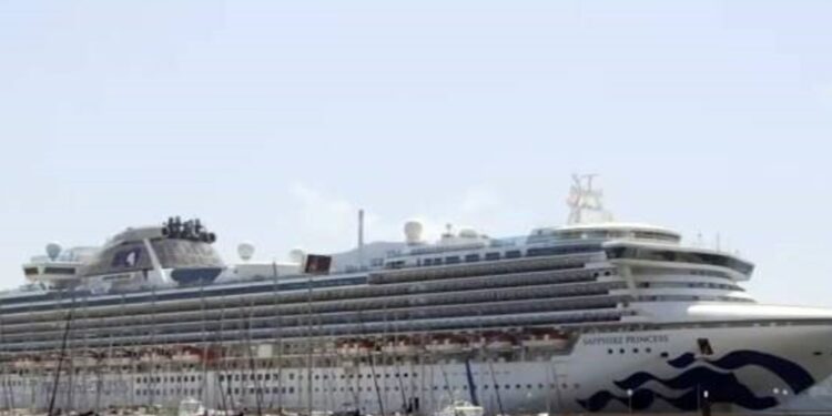 Horror en un crucero: un pasajero vio cinco cuerpos en el mar y desplegaron un operativo con un trágico final