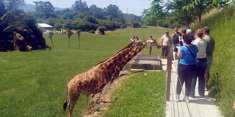 Agentes de viajes argentinos visitan Cantabria para conocer su oferta de turismo de naturaleza