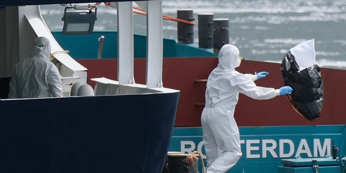 Cómo científicos sudafricanos identificaron el hantavirus en un crucero a miles de kilómetros