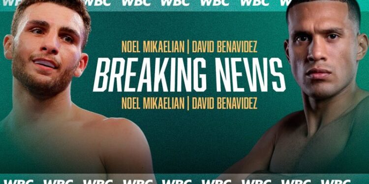 David Benavidez vs. Noel Mikaelian