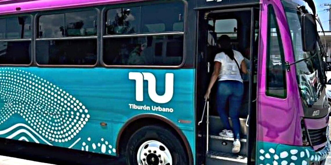 Tiburón Urbano de La Paz superó 2.3 millones de viajes, creciendo un 50 % su demanda en un año