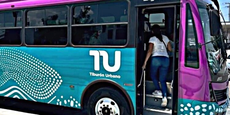 Tiburón Urbano de La Paz superó 2.3 millones de viajes, creciendo un 50 % su demanda en un año