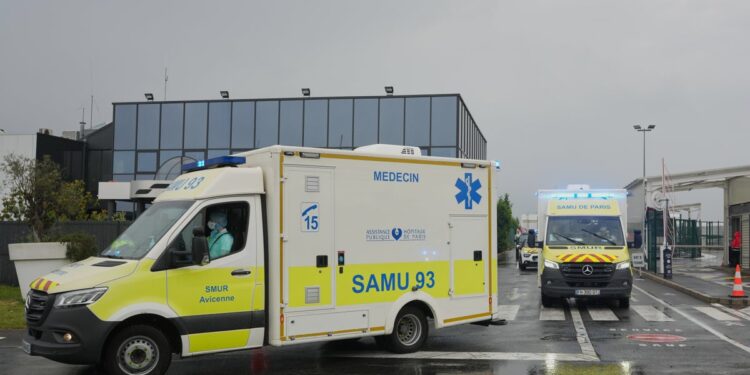 Francia dice que el virus detectado en una pasajera del crucero coincide con otros ya conocidos