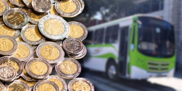 Flix expande su red de viajes baratos en autobús en ocho estados del país