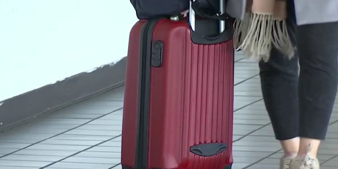 Aumentan cancelaciones de vuelos en temporadas de viajes – Telemundo Miami (51)