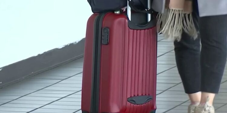Aumentan cancelaciones de vuelos en temporadas de viajes – Telemundo Miami (51)