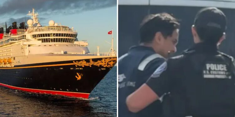Disney Magic y otros cruceros fueron inspeccionados en operativo federal en San Diego | Univision Orlando WVEN
