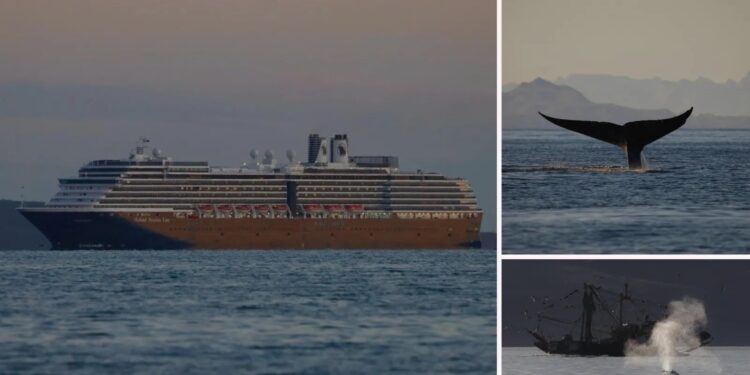 La petición por Loreto ya suma miles: ¿frenará los cruceros?