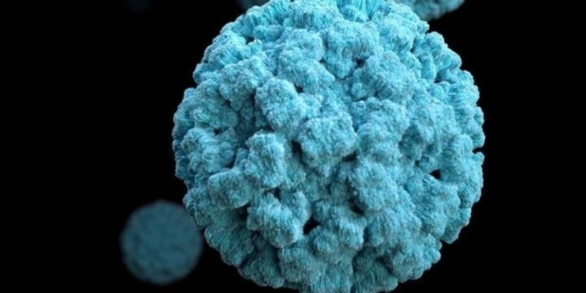 Norovirus en cruceros y hoteles: por qué es el virus perfecto para provocar brotes masivos