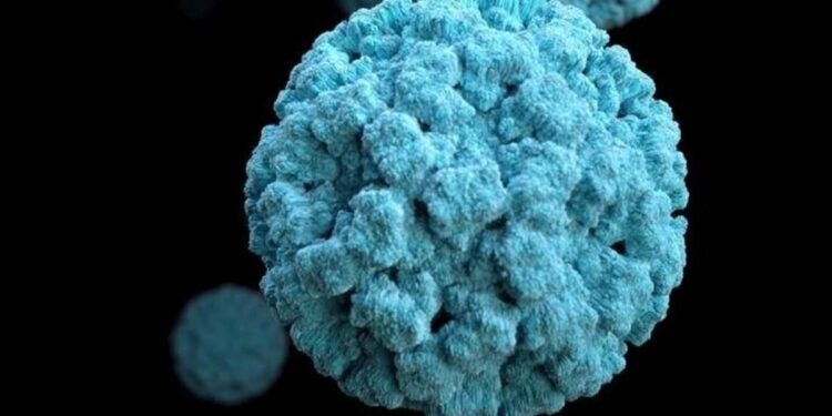 Norovirus en cruceros y hoteles: por qué es el virus perfecto para provocar brotes masivos