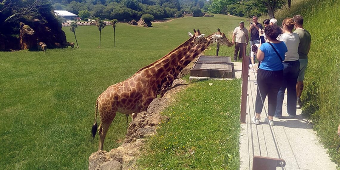 Turoperadores y agentes de viajes argentinos en una visita de familiarización turística a Cantabria para promocionar el turismo de naturaleza