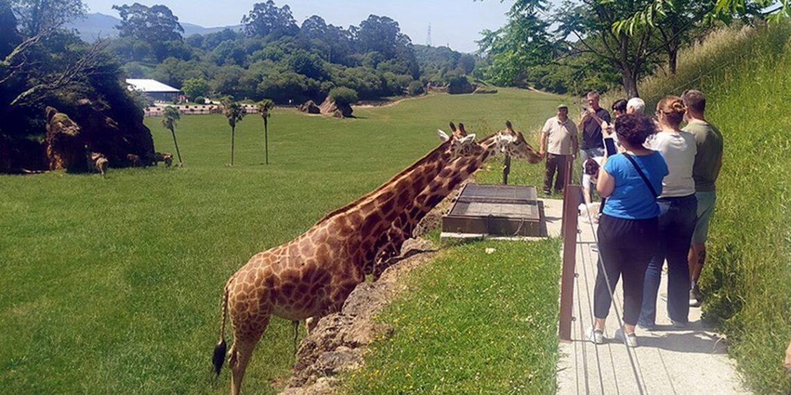 Agentes de viajes argentinos visitan Cantabria para conocer su oferta de turismo de naturaleza