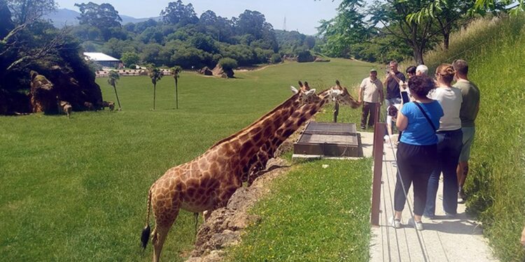 Agentes de viajes argentinos visitan Cantabria para conocer su oferta de turismo de naturaleza