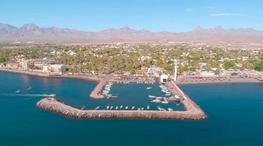 Sheinbaum asegura que entrada de cruceros y navíos no afectará a ballenas en Puerto Loreto