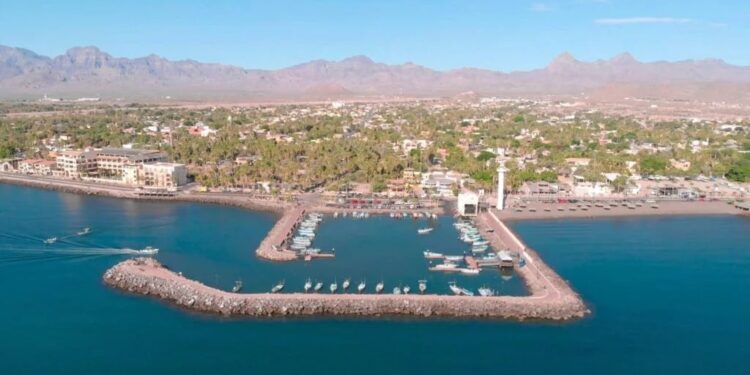 Sheinbaum asegura que entrada de cruceros y navíos no afectará a ballenas en Puerto Loreto