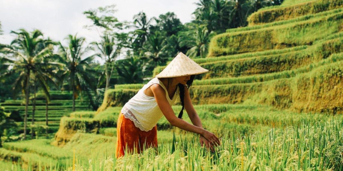 Una semana en Polonia o dos en Indonesia: estos son los grandes viajes que querrás hacer este verano