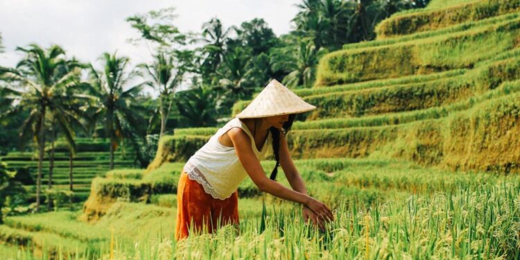 Una semana en Polonia o dos en Indonesia: estos son los grandes viajes que querrás hacer este verano
