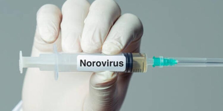 ¿Qué es el norovirus? El virus que encendió las alertas en un crucero de Burdeos