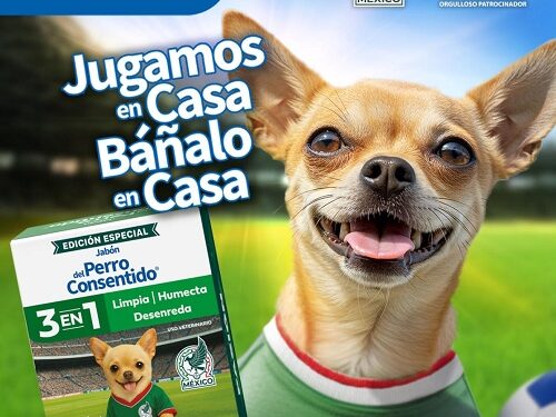 El baño de tu mascota en casa con el jabón 3 en 1 de la Línea del Perro Consentido, permite que los perros compartan la euforia de la sala sin estrés.