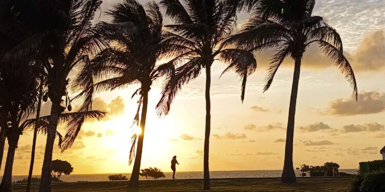 elsoldetoluca