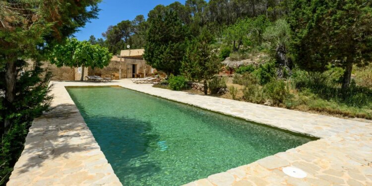 8 Airbnbs in Ibiza for Pure Relaxation and Balearic Charm