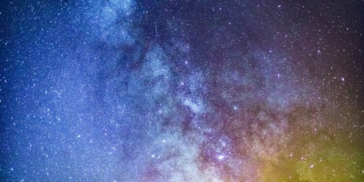 Tiene un cerebro diminuto, pero navega con una precisión que parece imposible. La polilla bogong se guía por las estrellas en uno de los viajes más asombrosos del mundo animal