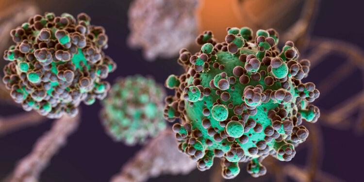 EE.UU. da por terminado el monitoreo por Hantavirus en crucero internacional