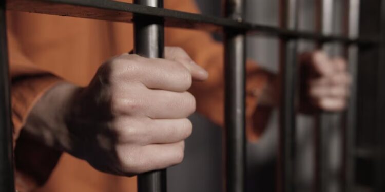 Arrestado en Costa Rica y extraditado a EEUU, se declara culpable por agresión sexual en crucero ocurrido en 2003 | Video | Univision Houston KXLN
