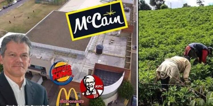 Colombia: McCain director admits complex reality of the agribusiness sector