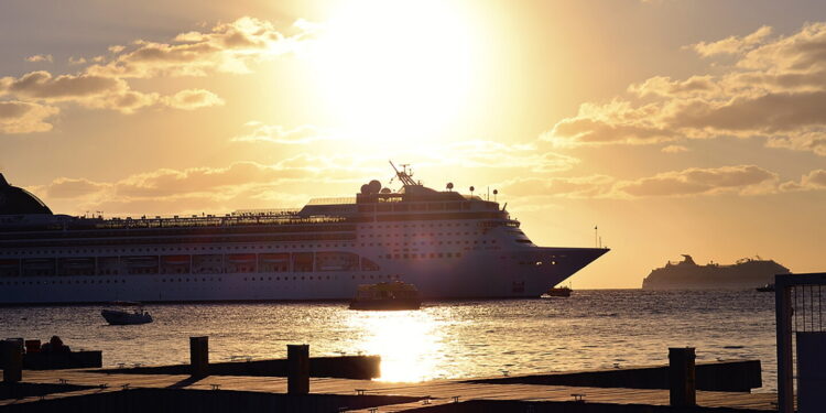 España y otros 20 países colaborarán en estudio del hantavirus que causó crisis en crucero - Última Hora