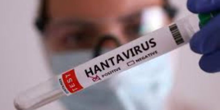 España y otros 20 países colaborarán en estudio del hantavirus que causó crisis en crucero