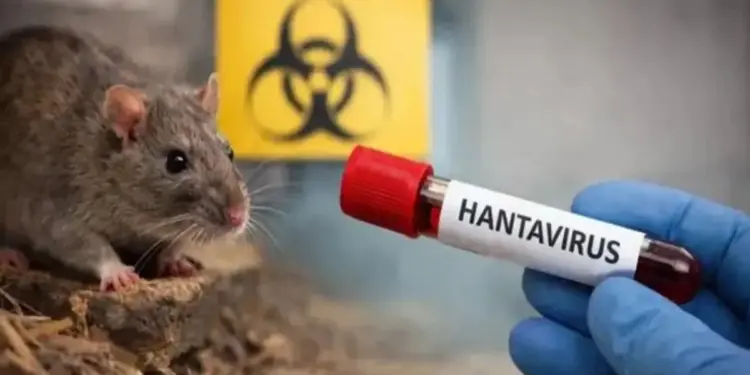 Estados Unidos levanta cuarentena por brote de hantavirus en crucero del Atlántico Sur