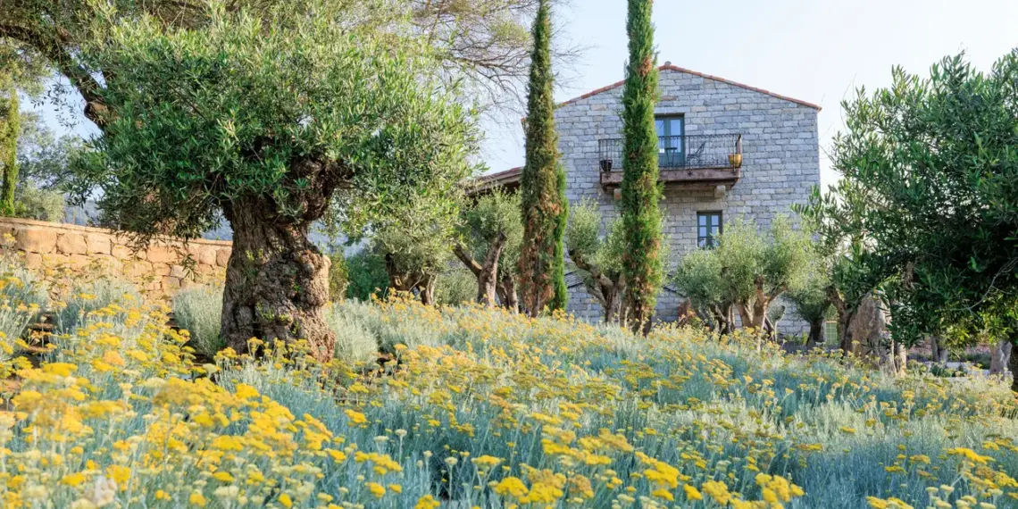 This Cult-Favorite Corsica Estate Has Opened a Magical New Farm Hotel