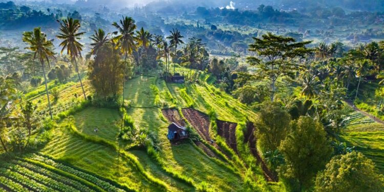 Sidemen: viajar sin prisas entre los templos y arrozales de Bali