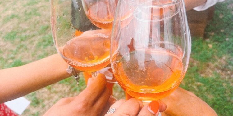 Guanajuato cierra su Semana del Vino 2026 con recorridos, experiencias y promoción enoturística