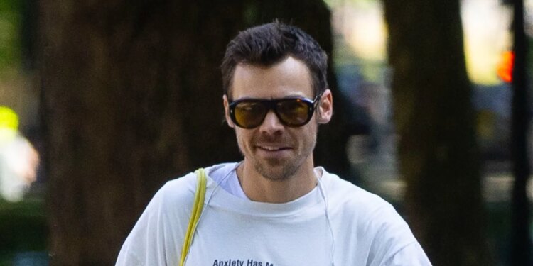 Harry Styles Just Wore the Perfect Pair of Jorts