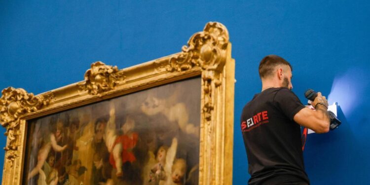 Montaje de la exposición 'Rubens. El florecimiento de un genio' en el Museo de Bellas Artes de València.