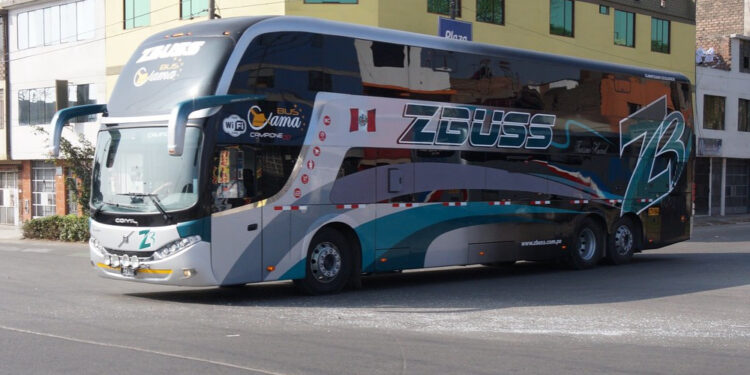 z-buss