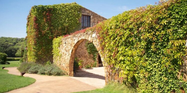 Hotels CMC: jardines y terrazas donde disfrutar del buen tiempo