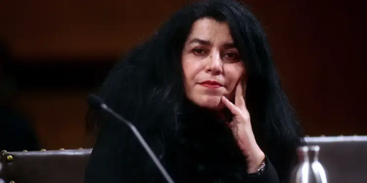 What Marjane Satrapi Made | Vogue