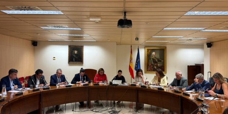 Los municipios de la AMT de Sol y Playa trasladan al Gobierno una hoja de ruta para reforzar el liderazgo turístico de España.